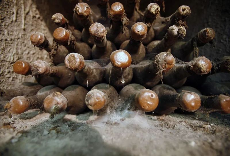 Content 4b4c12e587ff47cbb0d890032e3...