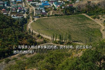 1、有很多人喝過茅臺集團的酒，說不好喝。說還沒有小酒坊的酒好喝？