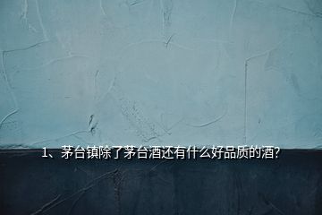 1、茅臺(tái)鎮(zhèn)除了茅臺(tái)酒還有什么好品質(zhì)的酒？