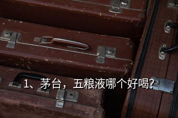 1、茅臺，五糧液哪個好喝？