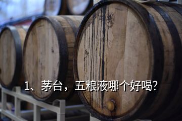 1、茅臺，五糧液哪個好喝？
