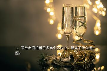 1、茅臺市值相當(dāng)于多半個(gè)芯片業(yè)，暴露了什么問題？