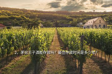 2、茅臺王子酒能存放嗎？最佳存放時間是多少年？