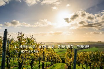 1、韓國有三星，日本有三菱，美國有惠普，中國有騰訊。這句話對嗎？