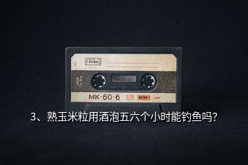 3、熟玉米粒用酒泡五六個小時能釣魚嗎？
