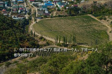 1、你們下班都干什么了？我這上班一個(gè)人，下班一個(gè)人都快抑郁了？