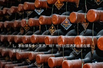 1、茅臺鎮(zhèn)有多少家酒廠呀？他們比國酒茅臺差在哪里呢？