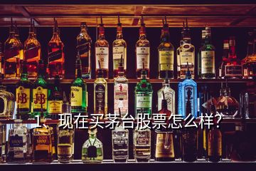 1、現(xiàn)在買茅臺股票怎么樣？