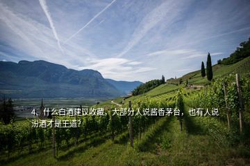 4、什么白酒建議收藏，大部分人說醬香茅臺(tái)，也有人說汾酒才是王道？
