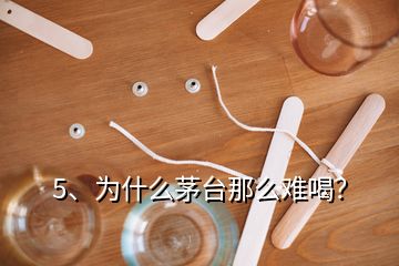5、為什么茅臺那么難喝？