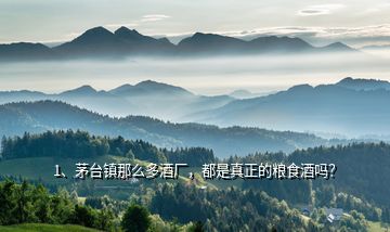 1、茅臺鎮(zhèn)那么多酒廠，都是真正的糧食酒嗎？