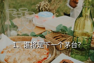 1、誰將是下一個(gè)茅臺(tái)？