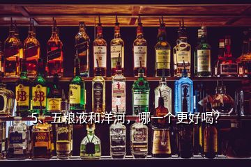 5、五糧液和洋河，哪一個更好喝？