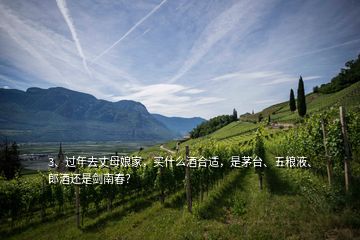 3、過年去丈母娘家，買什么酒合適，是茅臺、五糧液、郎酒還是劍南春？