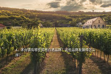 4、茅臺鎮(zhèn)有哪些其他白酒品牌？這些品牌發(fā)展得怎么樣？