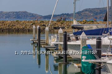 1、為什么叫飛天茅臺？飛天和五星的區(qū)別是什么？