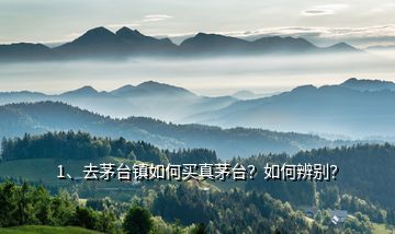 1、去茅臺(tái)鎮(zhèn)如何買真茅臺(tái)？如何辨別？