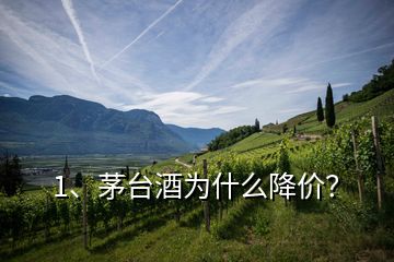 1、茅臺酒為什么降價？