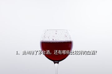 1、貴州除了茅臺酒，還有哪些比較好的白酒？