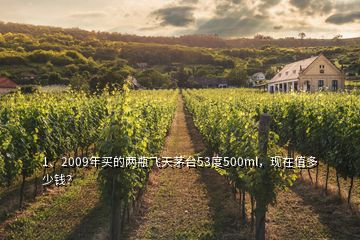1、2009年買(mǎi)的兩瓶飛天茅臺(tái)53度500ml，現(xiàn)在值多少錢(qián)？