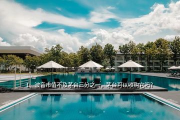 1、波音市值不及茅臺三分之一，茅臺可以收購它嗎？