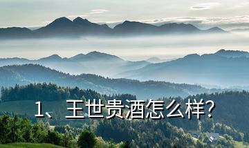 1、王世貴酒怎么樣？