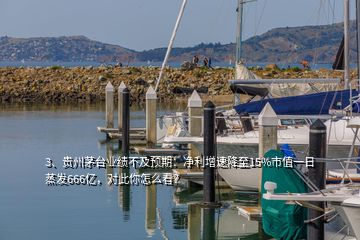 3、貴州茅臺業(yè)績不及預期：凈利增速降至15%市值一日蒸發(fā)666億，對此你怎么看？