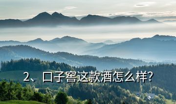 2、口子窖這款酒怎么樣？