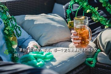 3、茅臺，五糧液，洋河，哪一個更有發(fā)展前途和成長空間？