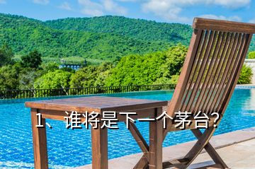1、誰將是下一個(gè)茅臺(tái)？
