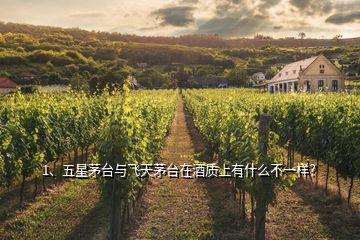 1、五星茅臺與飛天茅臺在酒質(zhì)上有什么不一樣？