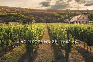 3、80萬瓶“平價(jià)”茅臺(tái)上網(wǎng)，茅臺(tái)“平民化”能成功嗎？
