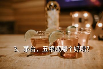3、茅臺，五糧液哪個好喝？