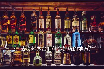 3、去貴州茅臺有什么好玩的地方？