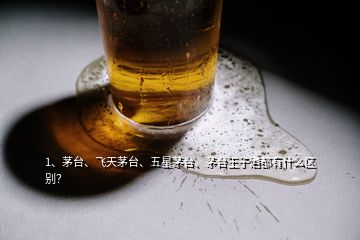 1、茅臺、飛天茅臺、五星茅臺、茅臺王子酒都有什么區(qū)別？