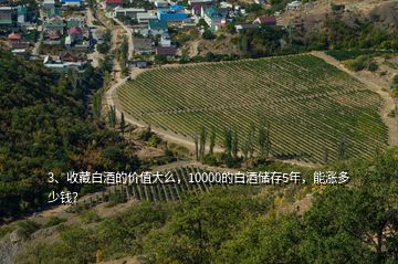 3、收藏白酒的價(jià)值大么，10000的白酒儲(chǔ)存5年，能漲多少錢？