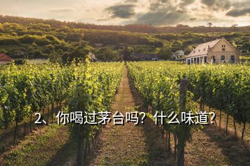 2、你喝過茅臺嗎？什么味道？