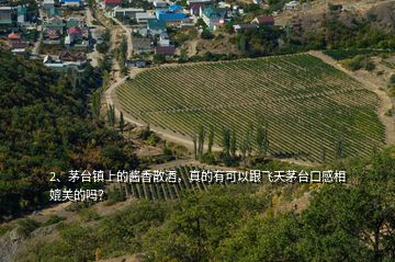 2、茅臺鎮(zhèn)上的醬香散酒，真的有可以跟飛天茅臺口感相媲美的嗎？