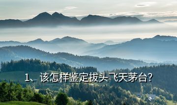 1、該怎樣鑒定拔頭飛天茅臺？
