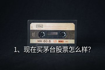 1、現(xiàn)在買(mǎi)茅臺(tái)股票怎么樣？