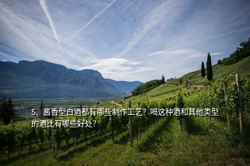 5、醬香型白酒都有哪些制作工藝？喝這種酒和其他類型的酒比有哪些好處？