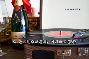 3、怎么用桑葚泡酒，可以直接泡嗎？