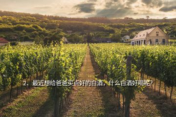 2、最近想給爸爸買(mǎi)點(diǎn)好的白酒，什么白酒好喝呢？