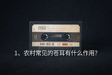 1、農(nóng)村常見的蒼耳有什么作用？