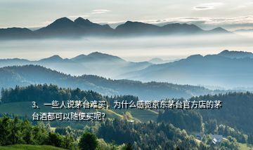 3、一些人說茅臺(tái)難買，為什么感覺京東茅臺(tái)官方店的茅臺(tái)酒都可以隨便買呢？