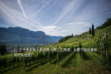 1、三十多歲男人每天晚上喝二三兩酒，長(zhǎng)期下去對(duì)身體有什么危害？