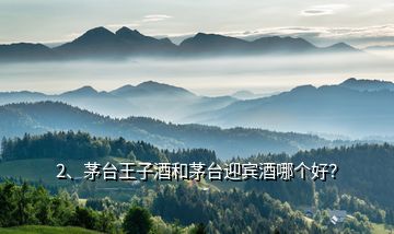 2、茅臺(tái)王子酒和茅臺(tái)迎賓酒哪個(gè)好？