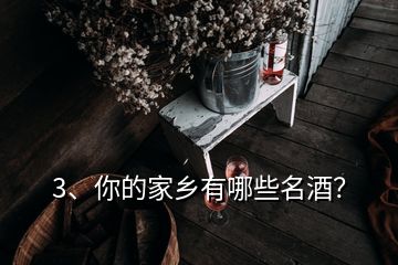 3、你的家鄉(xiāng)有哪些名酒？