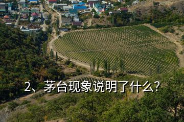 2、茅臺現(xiàn)象說明了什么？