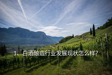 1、白酒釀造行業(yè)發(fā)展現(xiàn)狀怎么樣？